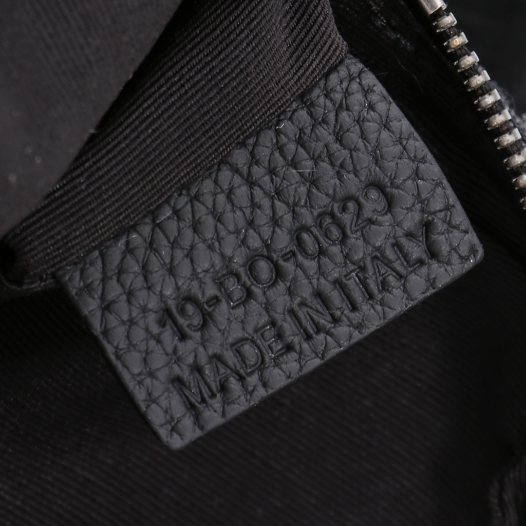 DIOR Safari Oblique BAG