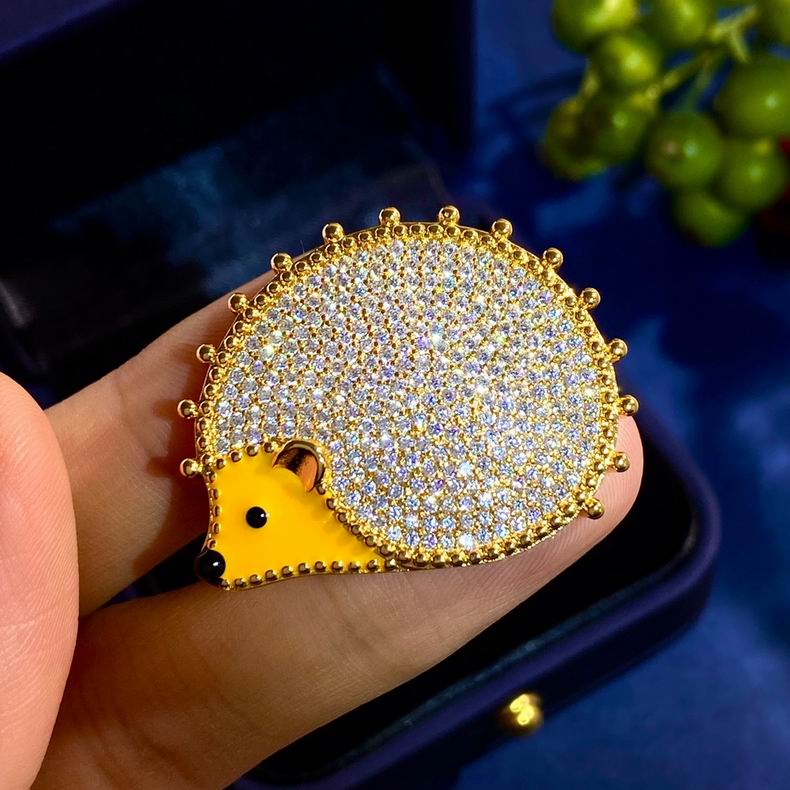 V.a.n Cleef & Arpels Brooch 9